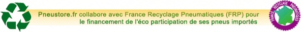 Recyclage Pneumatique