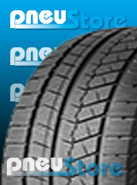 ICEPOWER 868 XL