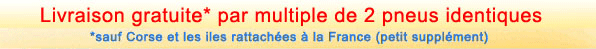 Livraison gratuite  partir de 2 pneus identiques